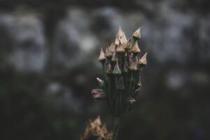 Érzelmi érettség – mitől válunk felnőtté valójában?