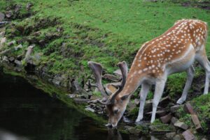 A víz szerepe az edzésben