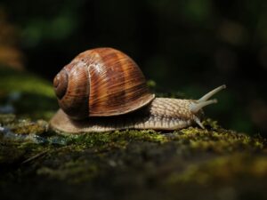 Slow news – az új tudatos hírfogyasztás