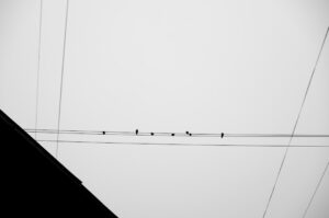 Mi az a data minimalizmus?