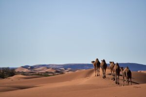 Kalandturizmus kezdőknek – rafting, via ferrata, canyoning
