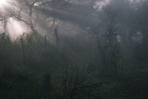 A belső tér illatosítása természetesen