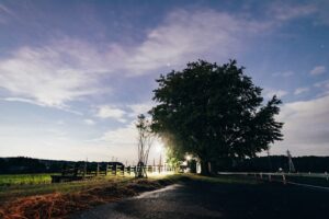 Éjszakai vonatozás élményei – praktikus útvonalak