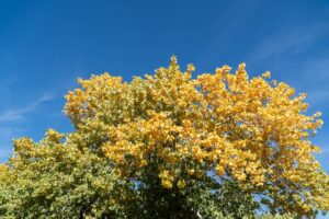 A színek kombinálása évszakonként