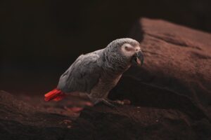 Nagyvárosok titkos belső udvarai