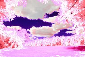 Utcaművészet VR-ben – virtuális falfestmények